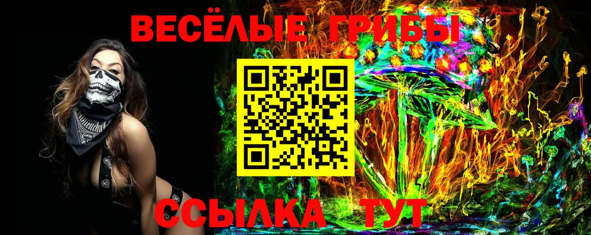 Галлюциногенные грибы прущие грибы Большой Камень